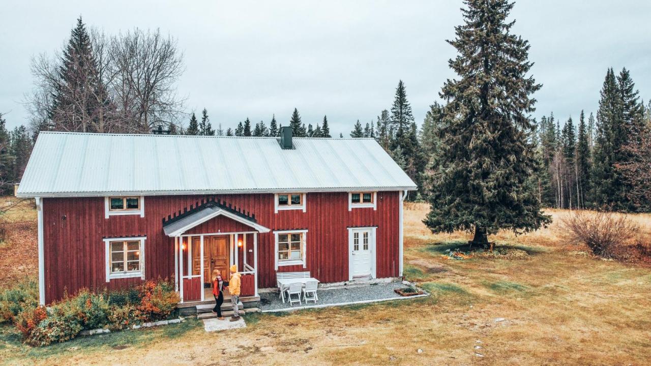 Taiga Forest Lodge Gällivare Dış mekan fotoğraf
