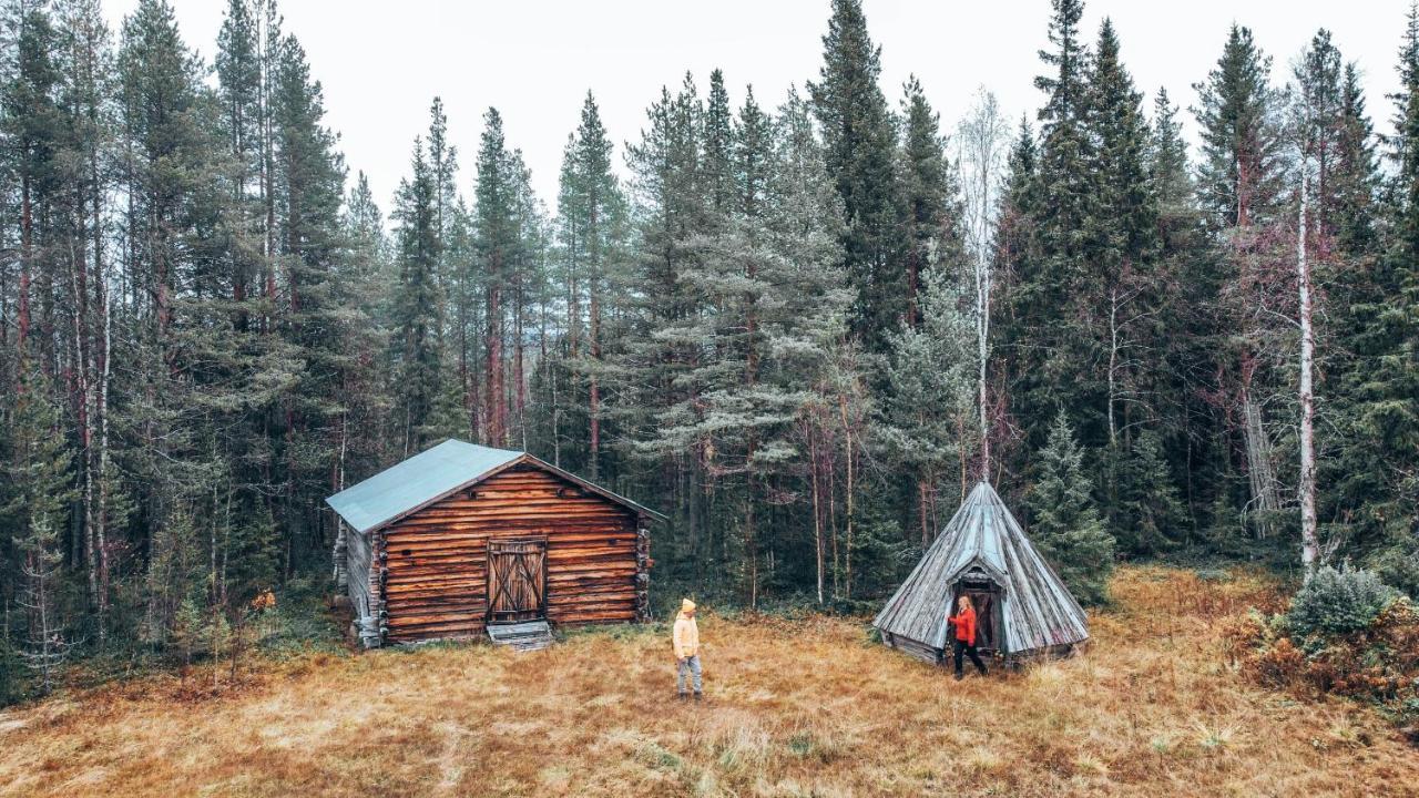 Taiga Forest Lodge Gällivare Dış mekan fotoğraf