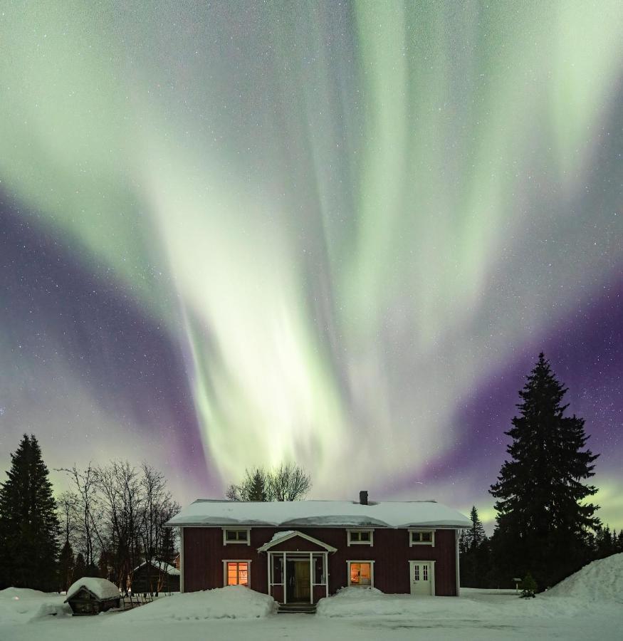 Taiga Forest Lodge Gällivare Dış mekan fotoğraf